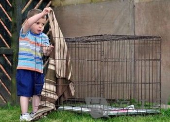 爱狗被偷，小男孩从此沉默不言